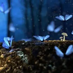 Realms of innocence