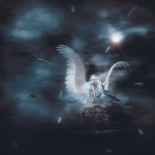 Angel of the Nightwatch product image